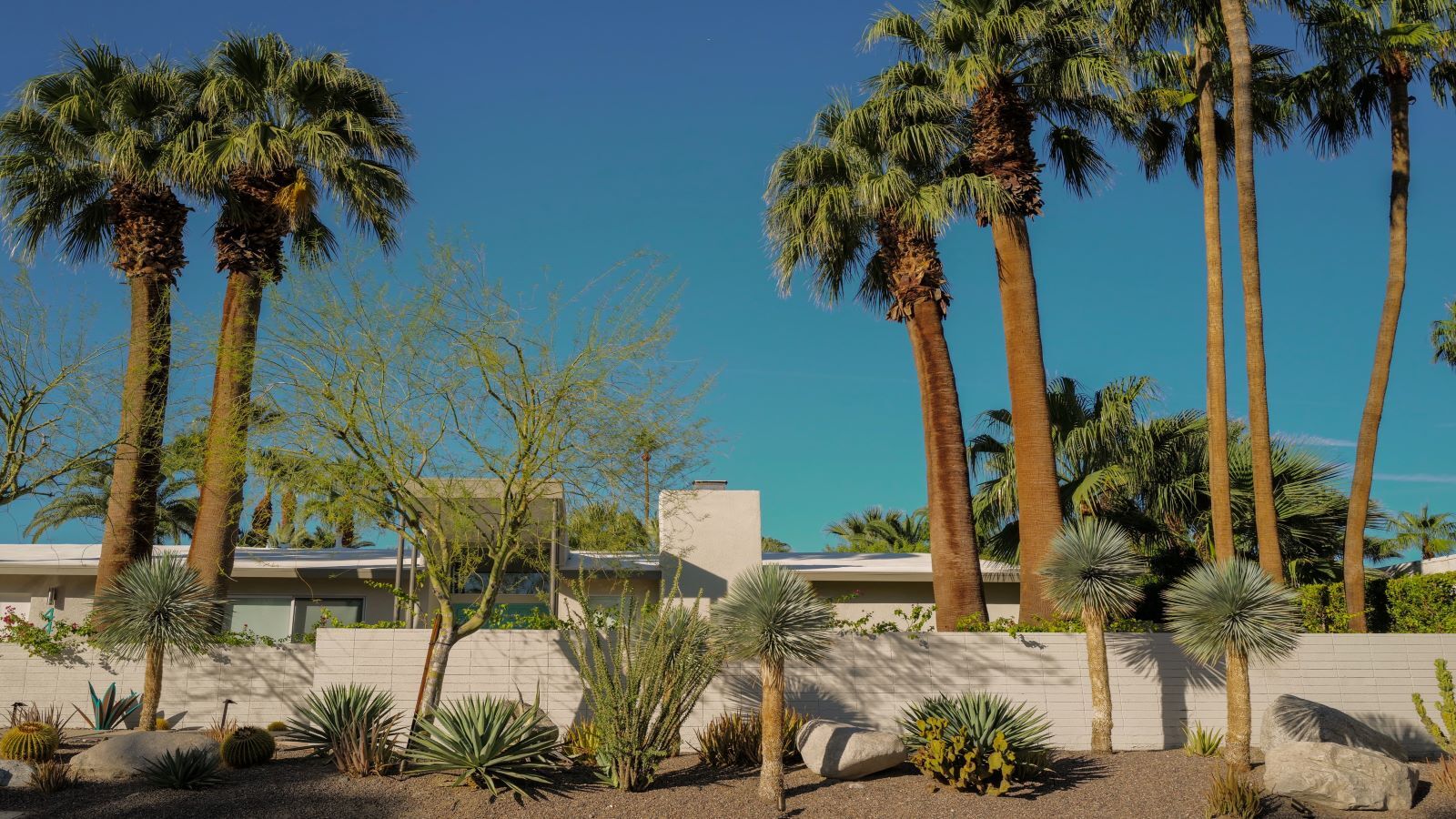 Coachella Valley Realtor explains market conditions 'What we are