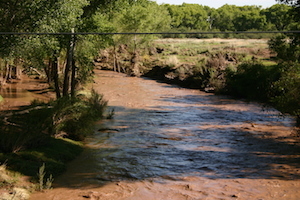 San Pedro River, Arizona