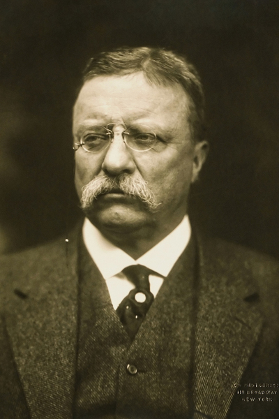 Teddy Roosevelt
