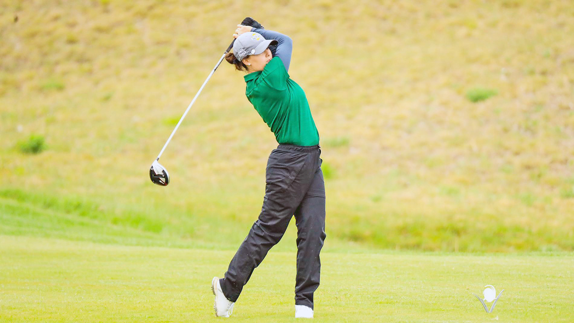 Mount Vernon News Mount Vernon News