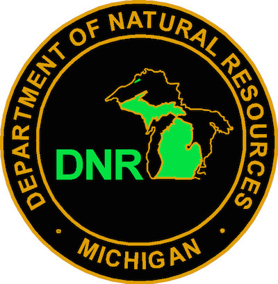 Endangered bird populations rebound thanks to Michigan DNR and conservation work.