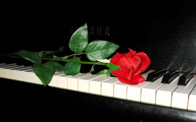 Bridgewater College to host free recital