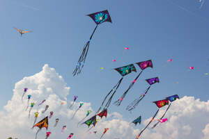 The Cary Park District will hold its kite flying event at 10:00 a.m. April 16 in Lions Park.