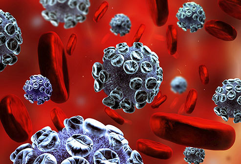 Update on dengue virus in China