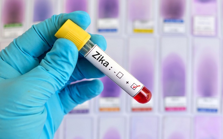 Of 442 pregnant women who had Zika, 6 percent saw one or more birth defects.