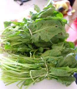 Densely planted leafy vegetables retain moisture under their leaves, making them an ideal habitat for downy mildew.