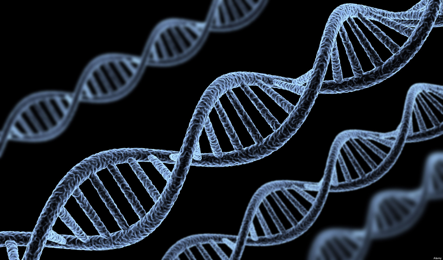 Innovative sequencing successfully detects resistant pathogens
