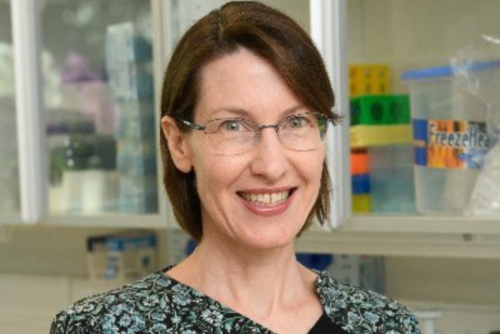 Slippery Chaperone Intestinal Mucus Takes Charge of Copper Current