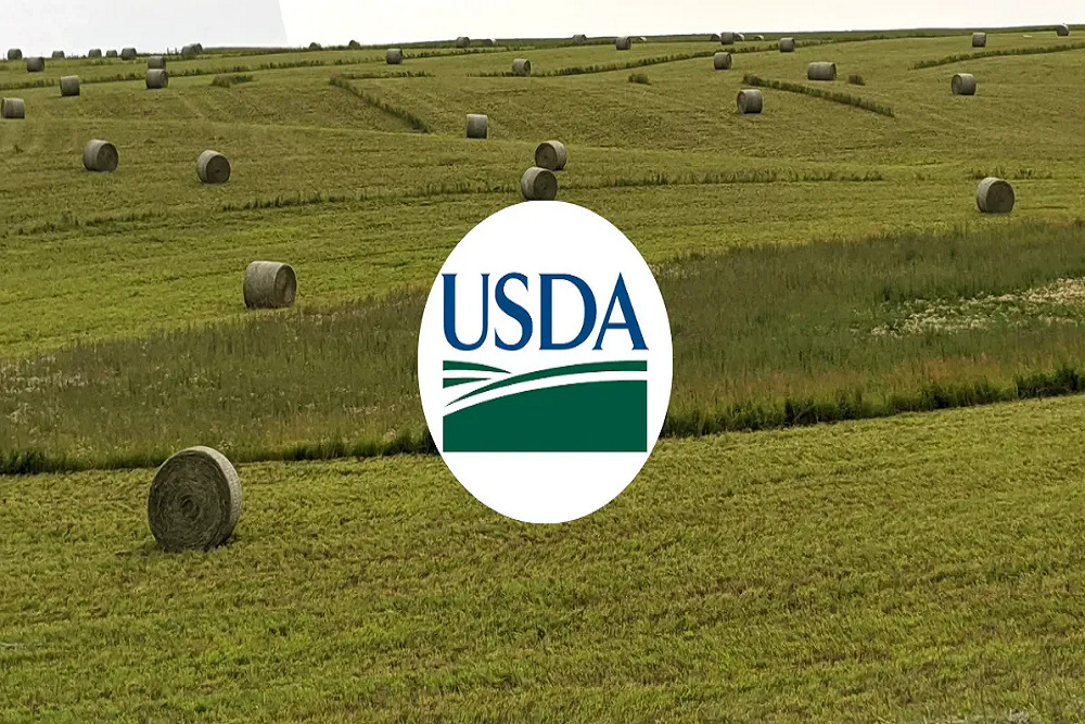 APHIS’ Plant Protection and Quarantine Updates Policy to Import