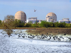 NRC announces new reactor application meeting for South Texas Project site.