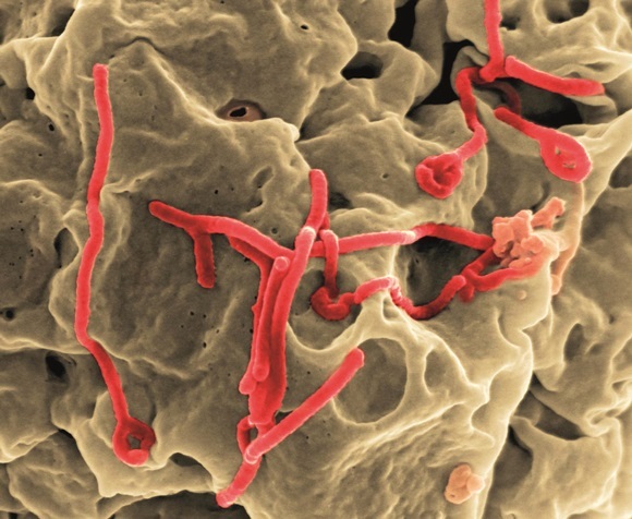 Researchers test first Ebola vaccine in infected communities