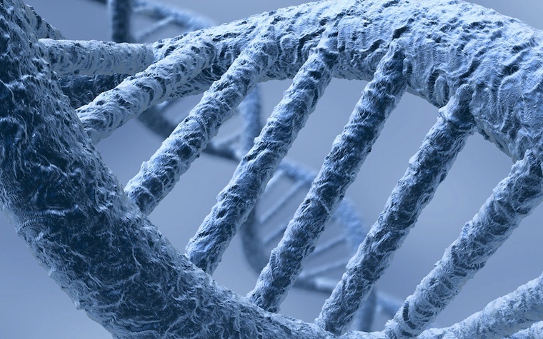Genetak adopts new technology for genomic medical treatments.