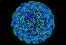 Rotary donates millions to eliminate polio globally