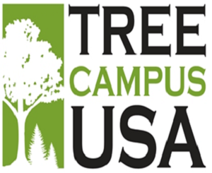 To receive the award, a college must meet five core standards.