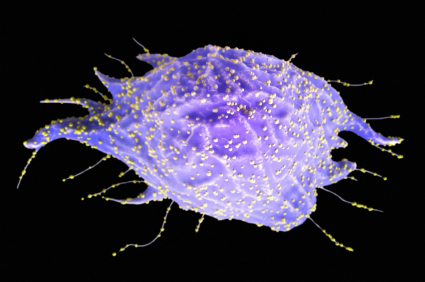 GeoVax pursues HIV vaccine dual pathway