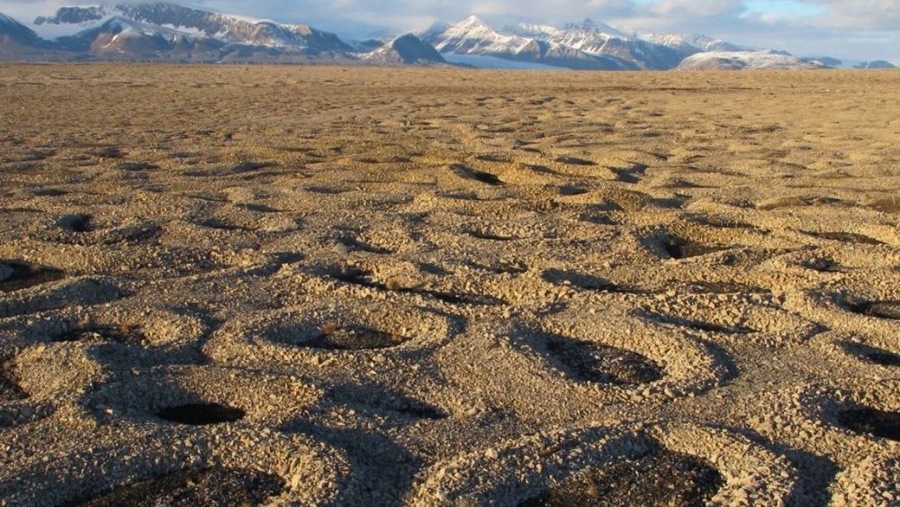 How ‘ice needles’ weave patterns of stones in frozen landscapes