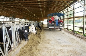A group of people tour the Hastings Dairy in Ohio.