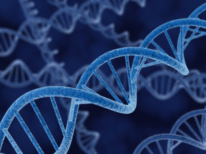 Ebola articles featured in journal