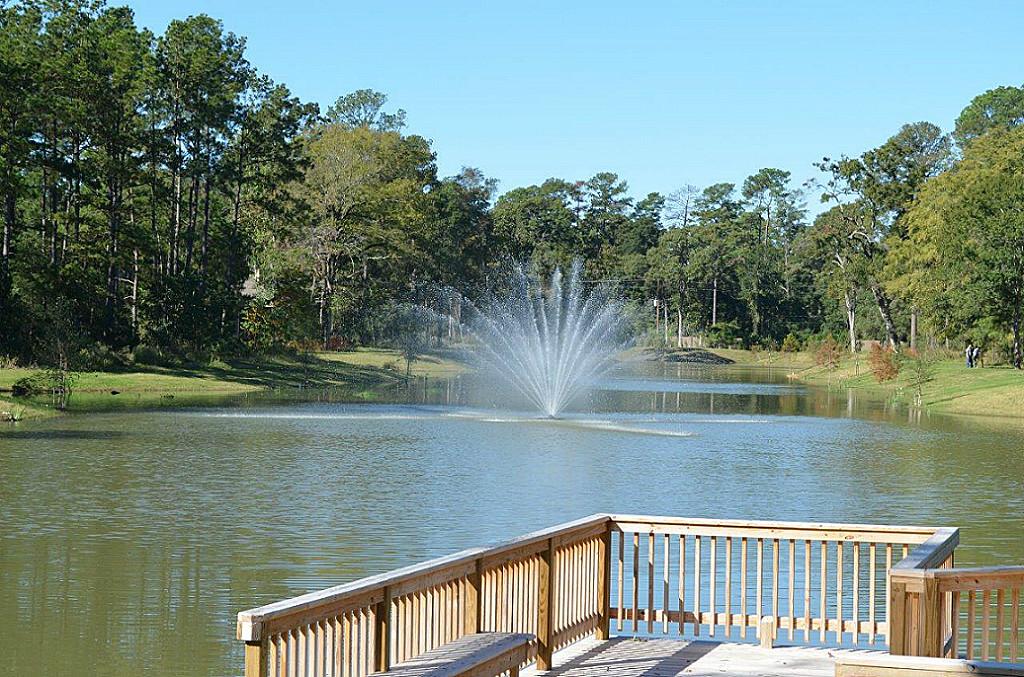 This is just one of the many gorgeous views from 7603 Morgans Pond Court.