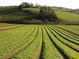 Salford Group launches innovative spreads and applicators