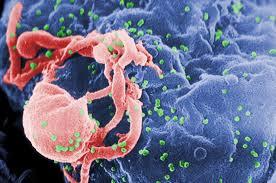 AIDS funding increases in 2014