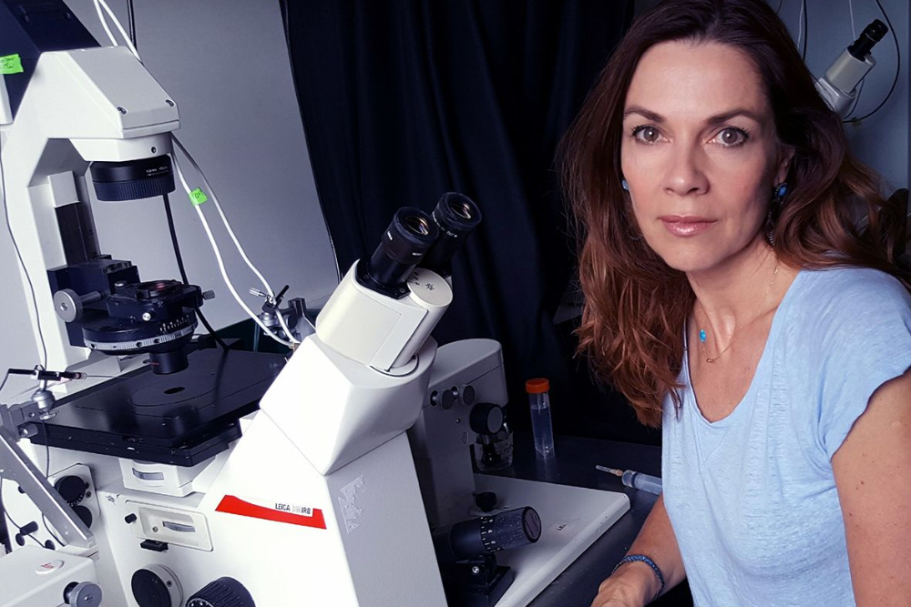 ‘Synthetic’ Embryo with Brain and Beating Heart Grown from Stem Cells by Cambridge Scientists