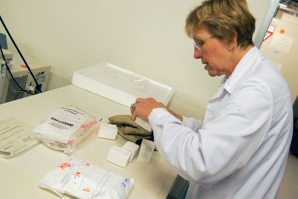 Scientists seek better Ebola diagnosis methods.