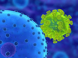 Spring Bank Pharmaceuticals to present HBV and HCV treatment results