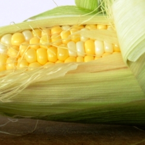 Latin American nations set import records for U.S. corn