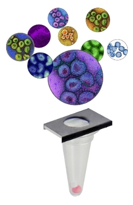 The NxTAG Respiratory Pathogen Panel can detect 22 pathogens in a single test.
