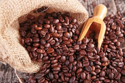 Currently, BioNovelus is committed to supporting the coffee industry’s battle against a devastating fungus called “Coffee Rust”