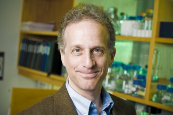 Dr. Paul Lieberman and other researchers found that telomere manipulation might be a way to fight viruses.