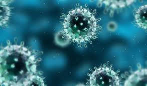 Paragon Bioservices gains contract for HIV vaccine candidate