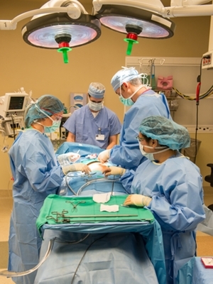 Mayo Health Library Nch Mayo Clinic Health Library