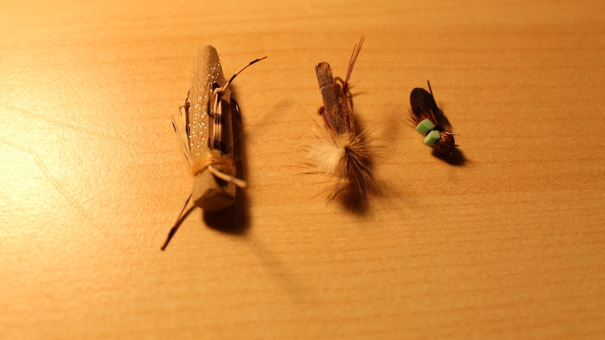 The noisy cricket Kern Valley Sun