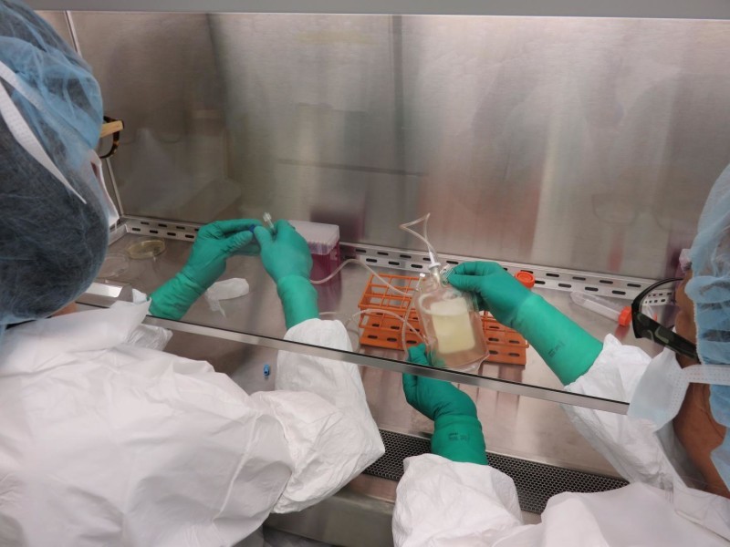 Personalized melanoma vaccine provokes strong immune response