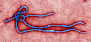 Round table participants discussed the varied responses to the Ebola virus.