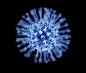 New ways to study viruses