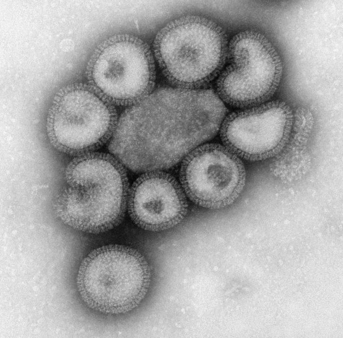 Influenza virus particles