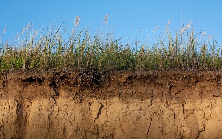 When the top layer of soil is disturbed, the soil is more likely to erode and cause more fertilizer and pesticide runoff.