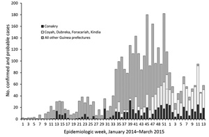 This graph shows the cases in Conkary, Guinea, and surrounding areas.