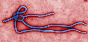 CDC announces study results for ring vaccination efficacy against Ebola.