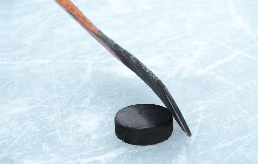 Lawsuit Health club failed to remove violent player from hockey game