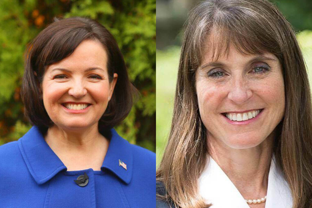 Republican Joan McCarthy Lasonde lost to Democrat Laura Fine.