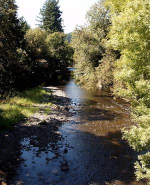 Calapooya River, Oregon