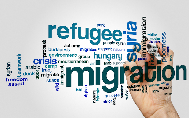 Answers coming in new migration information center