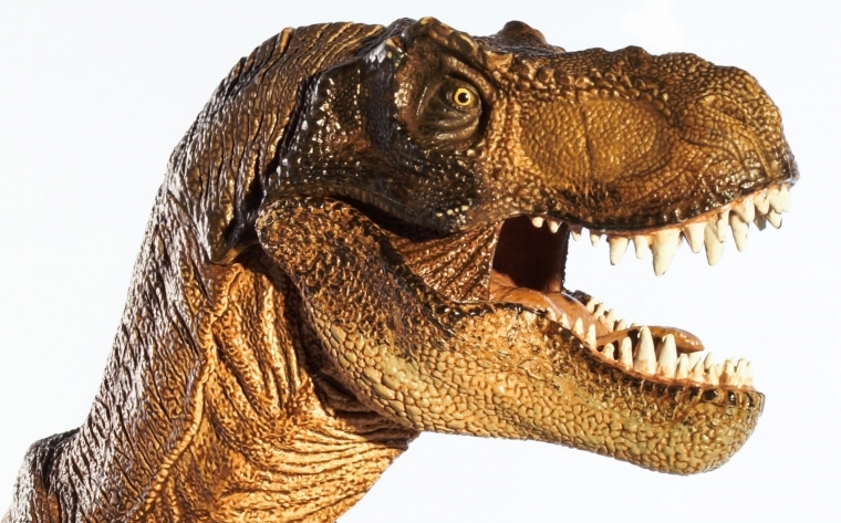 The Welsh dinosaur discovered in 2014 has been named