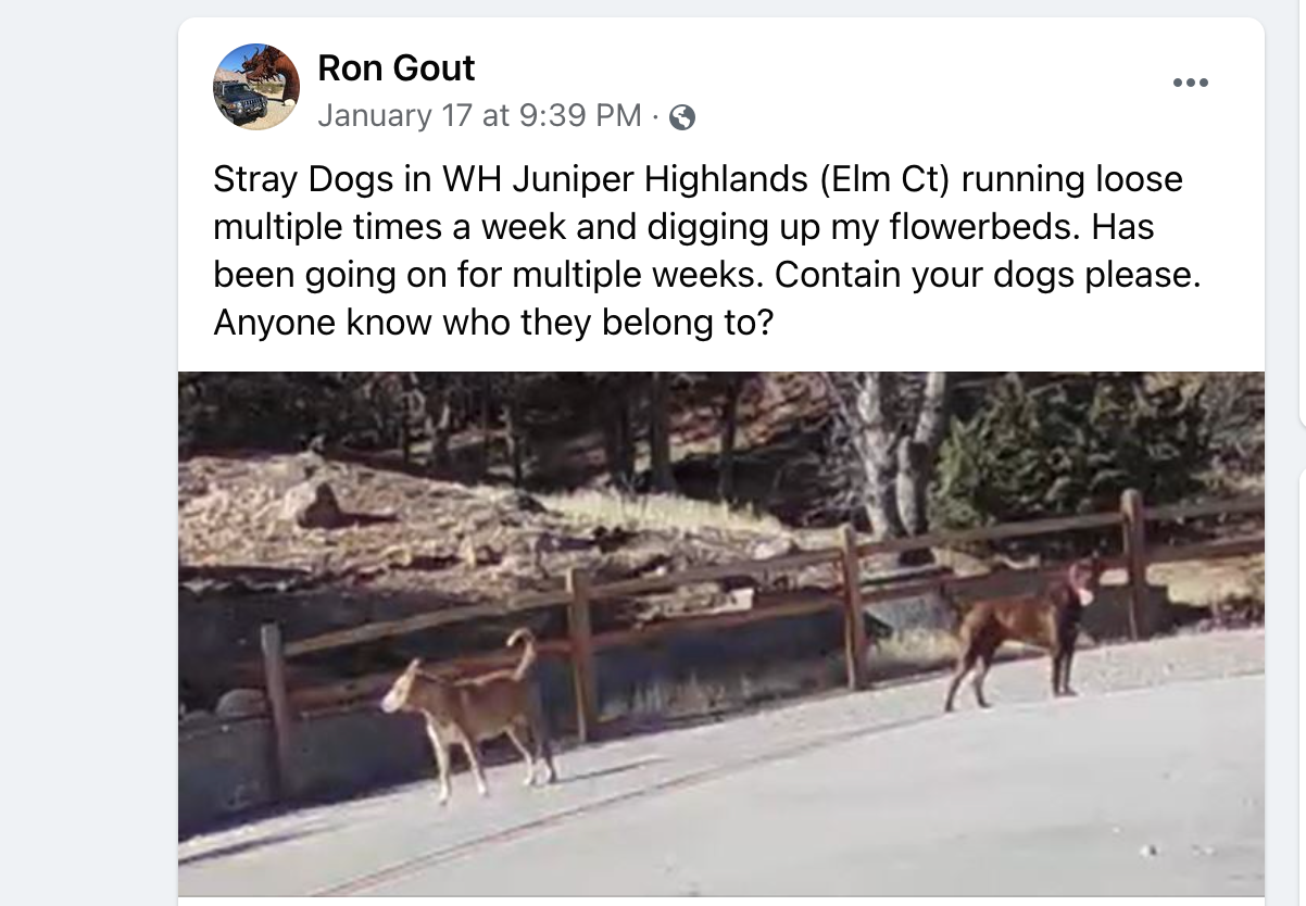 How Many Dogs Can You Have In Kern County