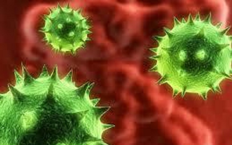 Seventy-five percent of stem cells are lost when implanted.