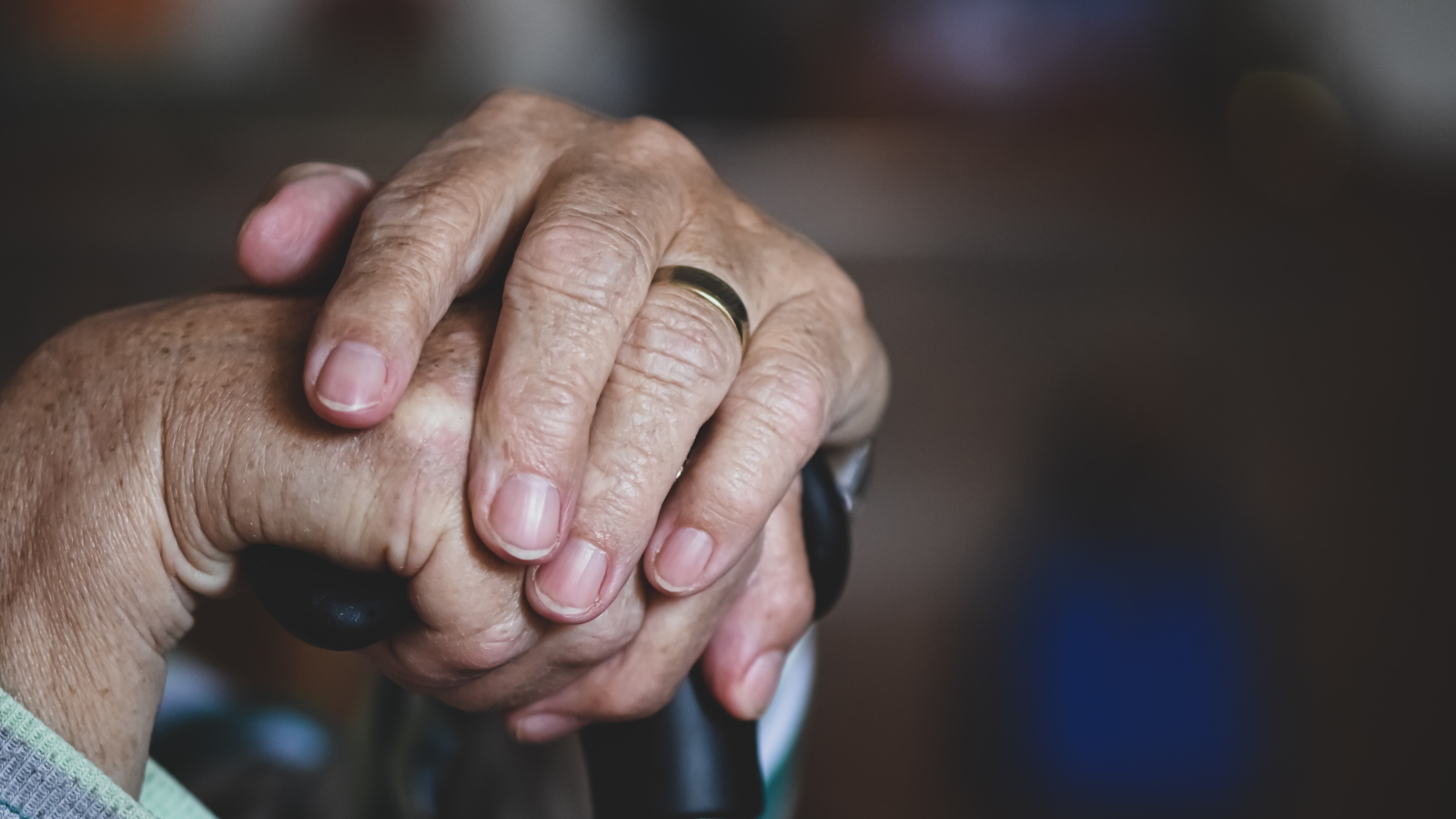 Disabled woman claims Marine housing manager refused to provide reasonable accommodations - Vimarsana News